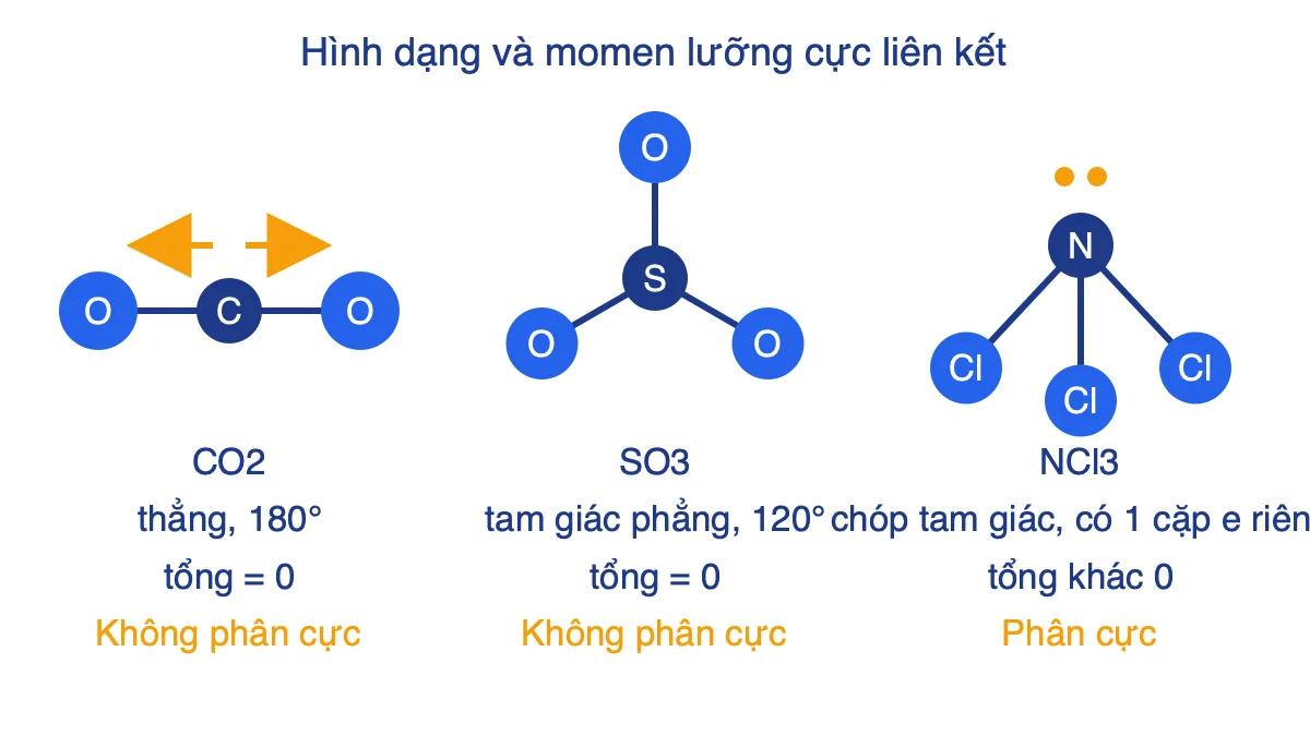 Hình dạng phân tử CO2 thẳng, SO3 tam giác phẳng và NCl3 hình chóp tam giác kèm mũi tên momen lưỡng cực