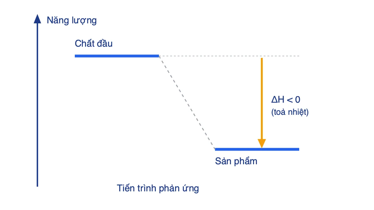 Giản đồ năng lượng của phản ứng tỏa nhiệt: chất đầu ở mức cao, sản phẩm ở mức thấp