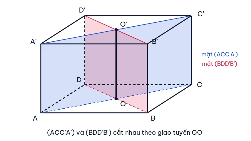 Hình hộp ABCD.A'B'C'D' với hai mặt chéo ACC'A' tô xanh và BDD'B' tô đỏ cắt nhau theo đoạn OO' nối tâm hai đáy