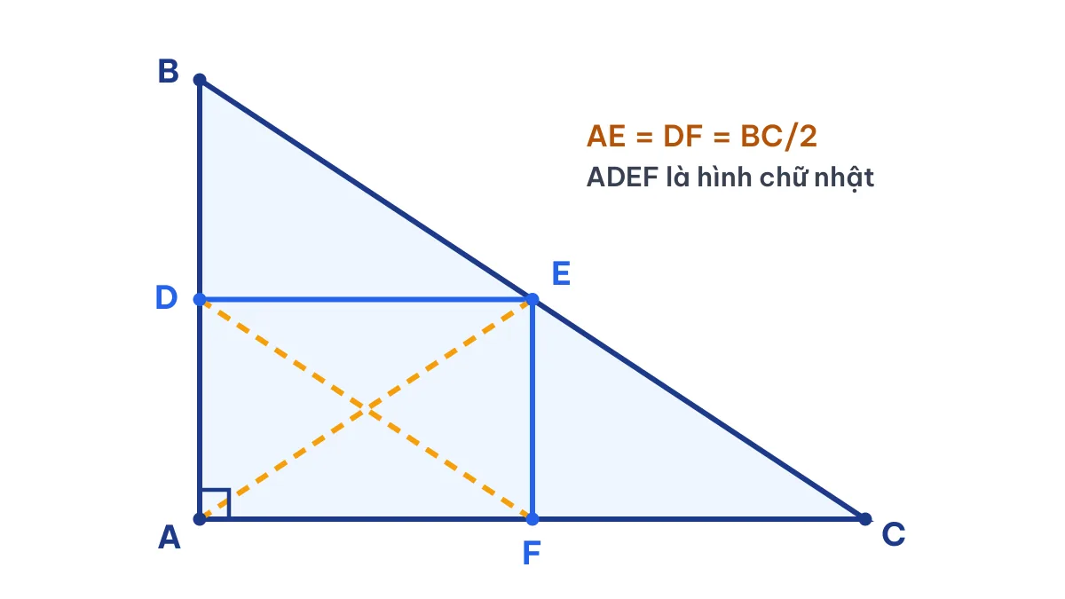 Hình vẽ tam giác ABC vuông tại A với D, E, F là trung điểm AB, BC, AC và hình chữ nhật ADEF có hai đường chéo AE, DF