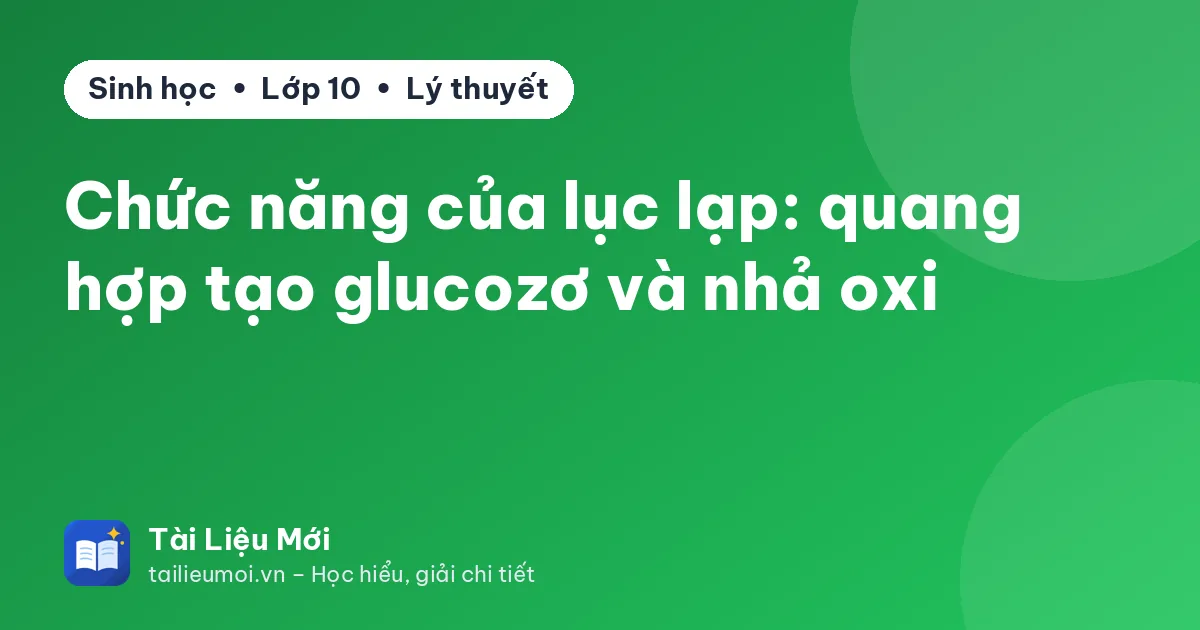 Chức năng của lục lạp: quang hợp tạo glucozơ và nhả oxi