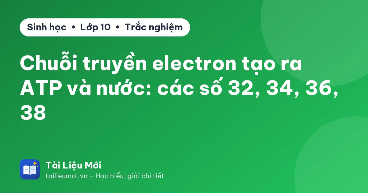 Chuỗi truyền electron tạo ra ATP và nước: các số 32, 34, 36, 38