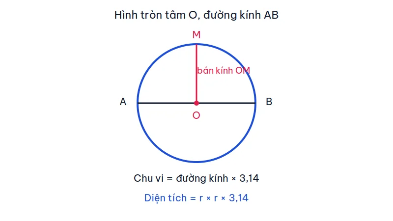 Hình tròn tâm O với đường kính AB và bán kính OM, kèm công thức chu vi và diện tích