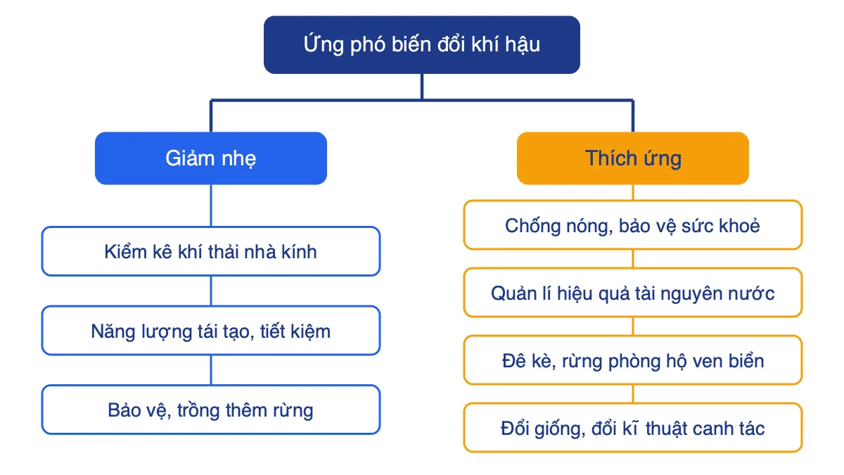Sơ đồ các giải pháp ứng phó với biến đổi khí hậu chia thành giảm nhẹ và thích ứng