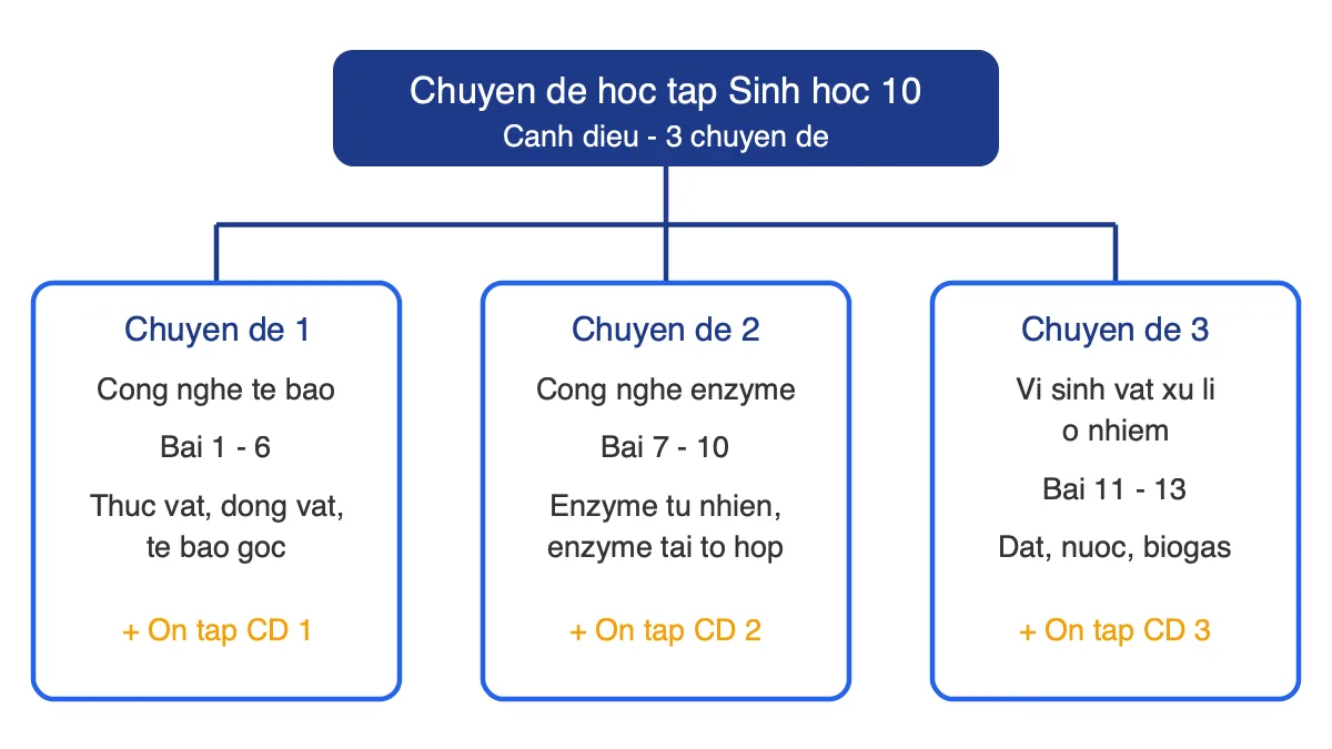 Sơ đồ cấu trúc Chuyên đề học tập Sinh học 10 Cánh diều gồm 3 chuyên đề