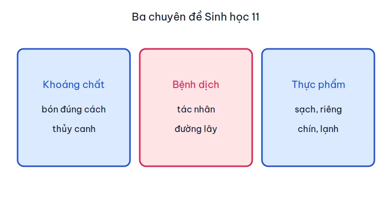 Sơ đồ ba chuyên đề Sinh học 11: dinh dưỡng khoáng và thủy canh, bệnh dịch với tác nhân và đường lây, an toàn thực phẩm với bốn việc sạch, riêng, chín, lạnh