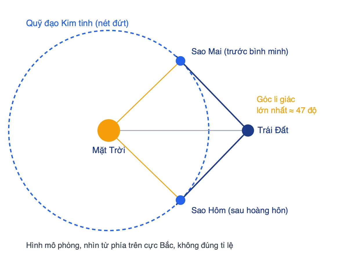 Sơ đồ quỹ đạo Kim tinh nằm trong quỹ đạo Trái Đất, các vị trí có góc li giác lớn nhất ứng với sao Hôm và sao Mai
