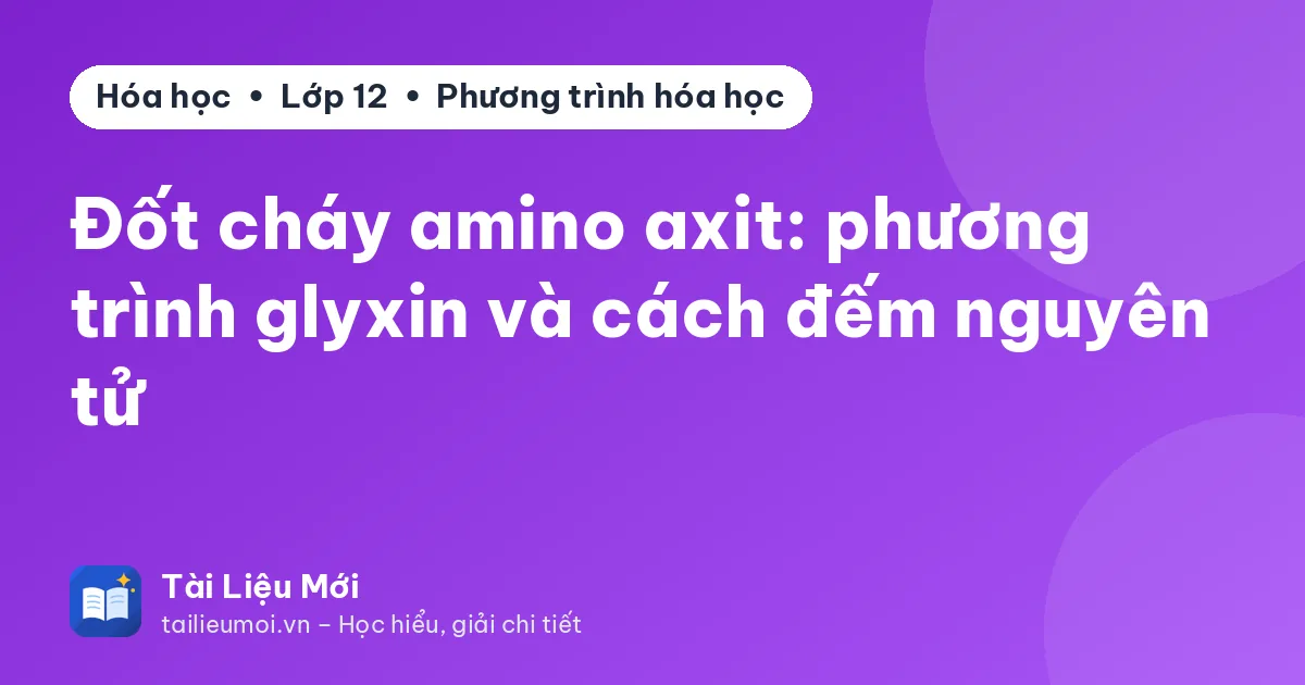 Đốt cháy amino axit: phương trình glyxin và cách đếm nguyên tử
