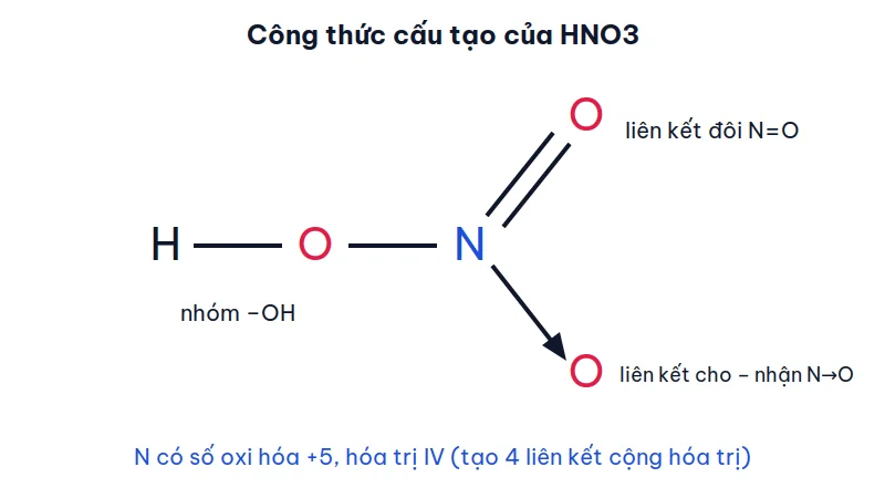 Công thức cấu tạo phân tử HNO3: H liên kết với O, O liên kết với N, N có liên kết đôi với một O và liên kết cho – nhận với O còn lại