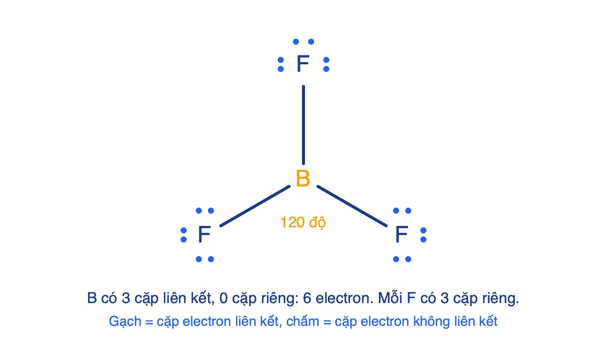 Công thức Lewis của BF3 dạng tam giác phẳng, B ở giữa nối ba nguyên tử F, mỗi F có ba cặp electron riêng