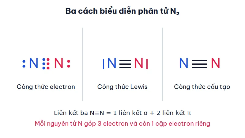 Công thức electron, công thức Lewis và công thức cấu tạo của phân tử N2 với liên kết ba
