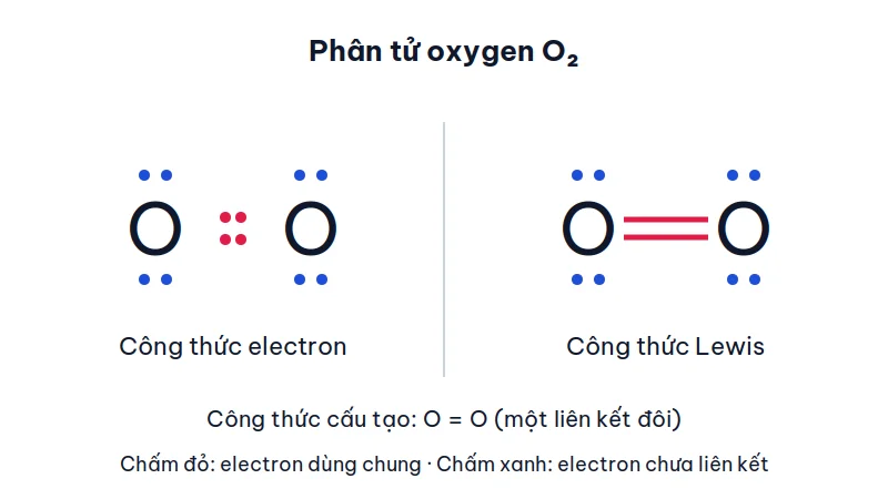 Công thức electron của O2 với 2 cặp electron dùng chung màu đỏ giữa hai nguyên tử O, mỗi O có 2 cặp electron riêng màu xanh, bên cạnh là công thức Lewis O=O