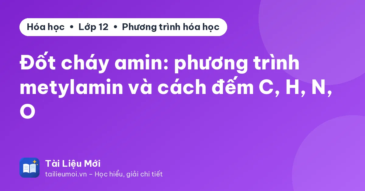 Đốt cháy amin: phương trình metylamin và cách đếm C, H, N, O