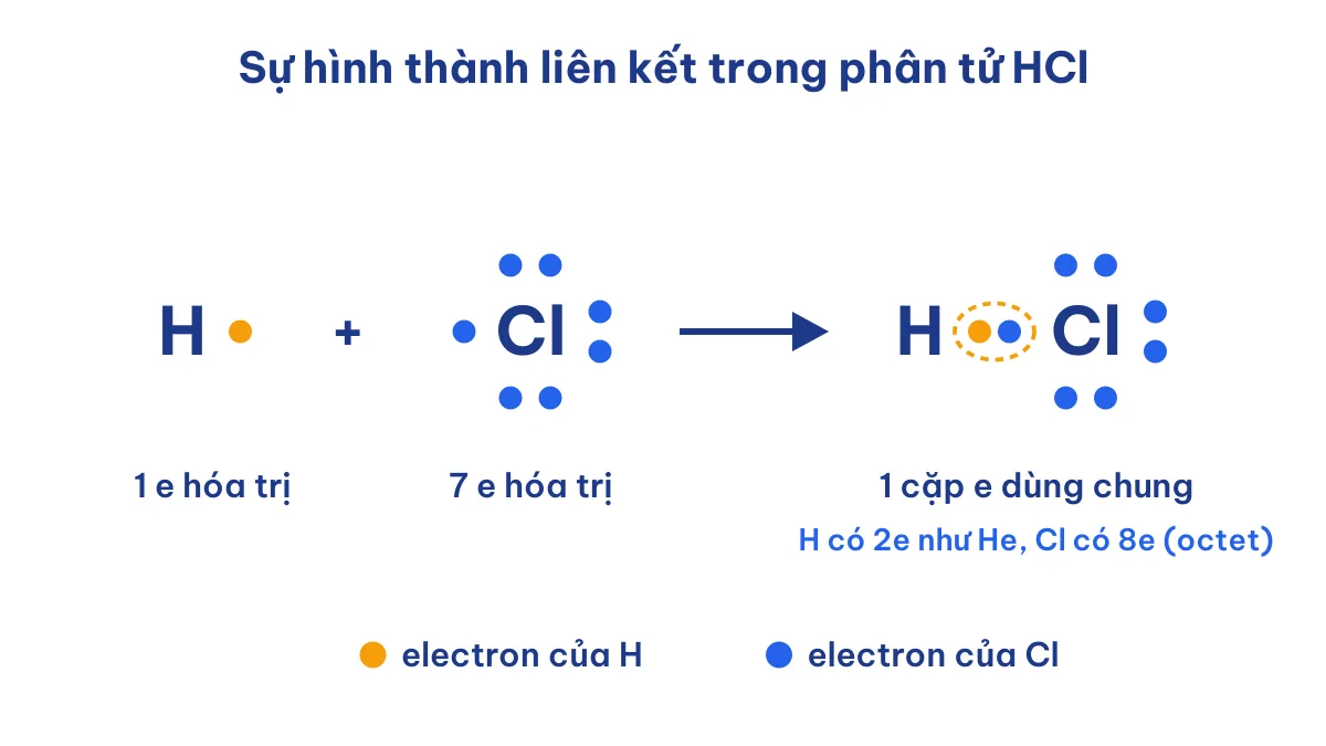 Sơ đồ hình thành liên kết cộng hóa trị trong phân tử HCl, mỗi nguyên tử góp 1 electron