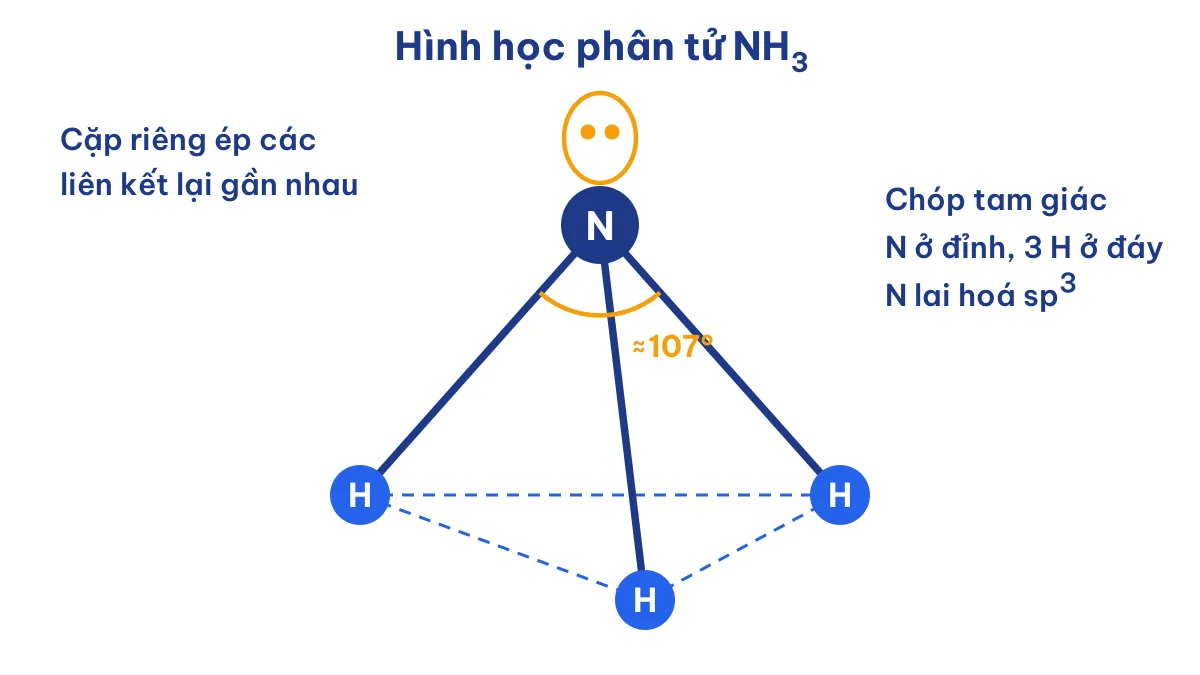 Hình chóp tam giác của phân tử NH3, góc HNH khoảng 107 độ