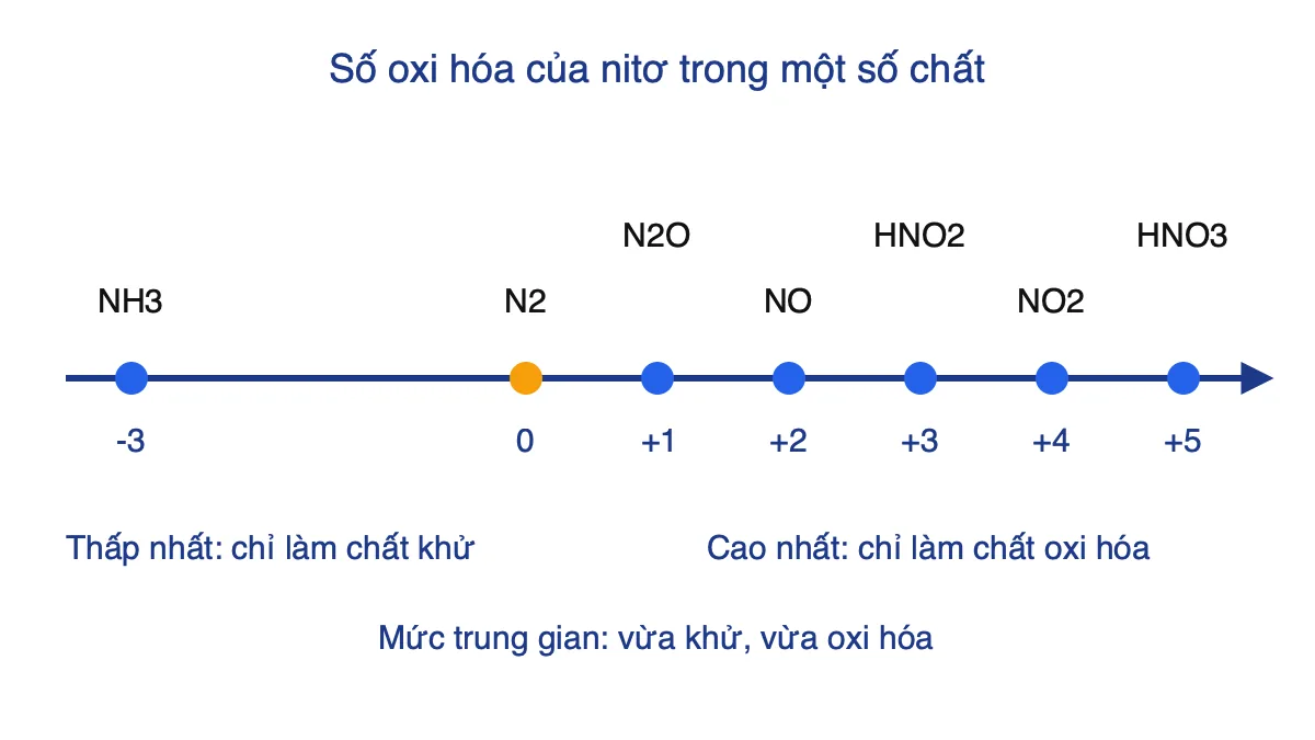 Trục số oxi hóa của nitơ từ -3 đến +5 kèm công thức chất tiêu biểu