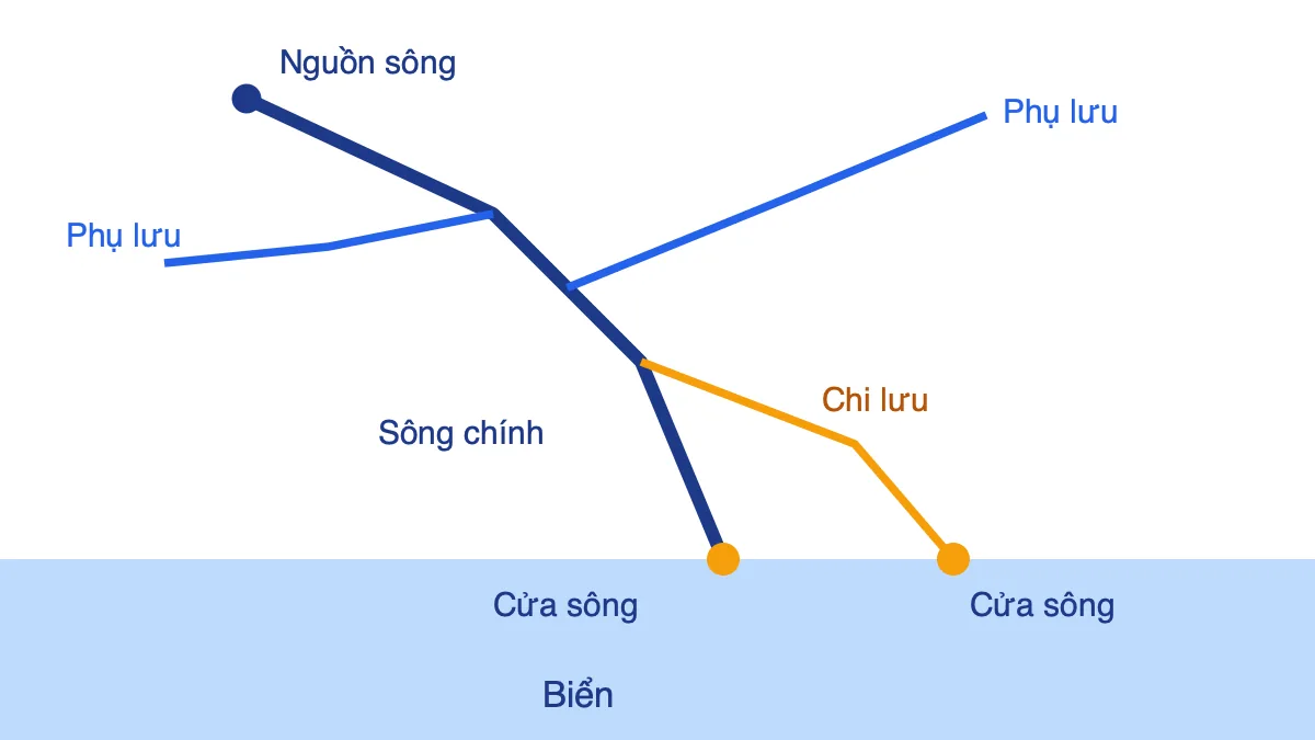 Sơ đồ hệ thống sông gồm nguồn, sông chính, phụ lưu, chi lưu và cửa sông đổ ra biển
