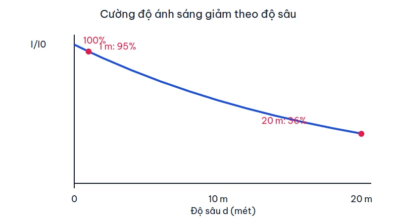 Đồ thị cường độ ánh sáng I/I0 giảm từ 100% ở mặt nước xuống khoảng 36% tại độ sâu 20 mét khi a bằng 0,95