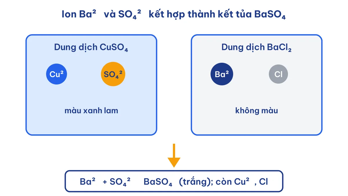 Sơ đồ phản ứng CuSO4 + BaCl2 tạo kết tủa BaSO4 và CuCl2