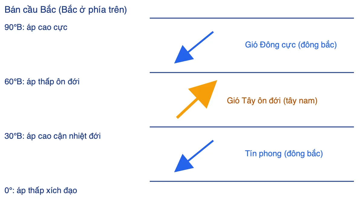Sơ đồ gió Tây ôn đới, tín phong và gió Đông cực ở bán cầu Bắc