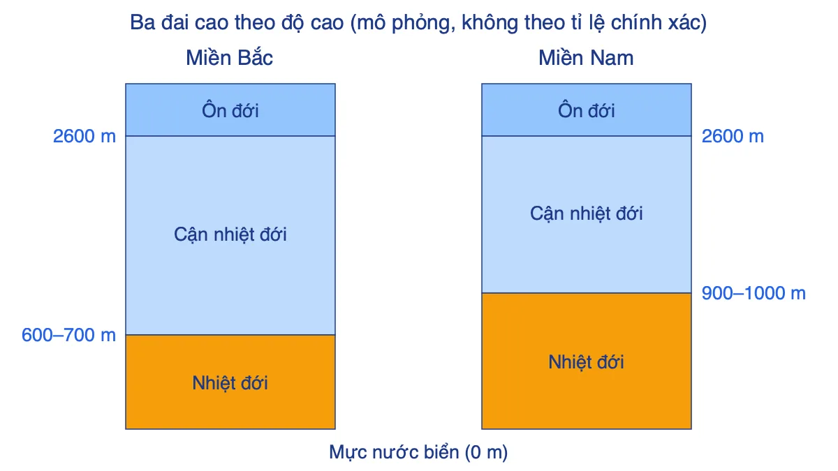 Sơ đồ so sánh ranh giới các đai cao ở miền Bắc và miền Nam Việt Nam