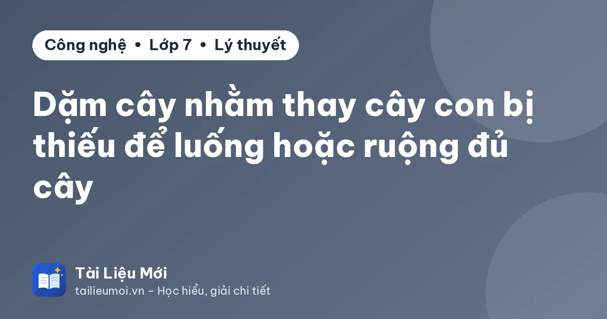 Dặm cây nhằm thay cây con bị thiếu để luống hoặc ruộng đủ cây
