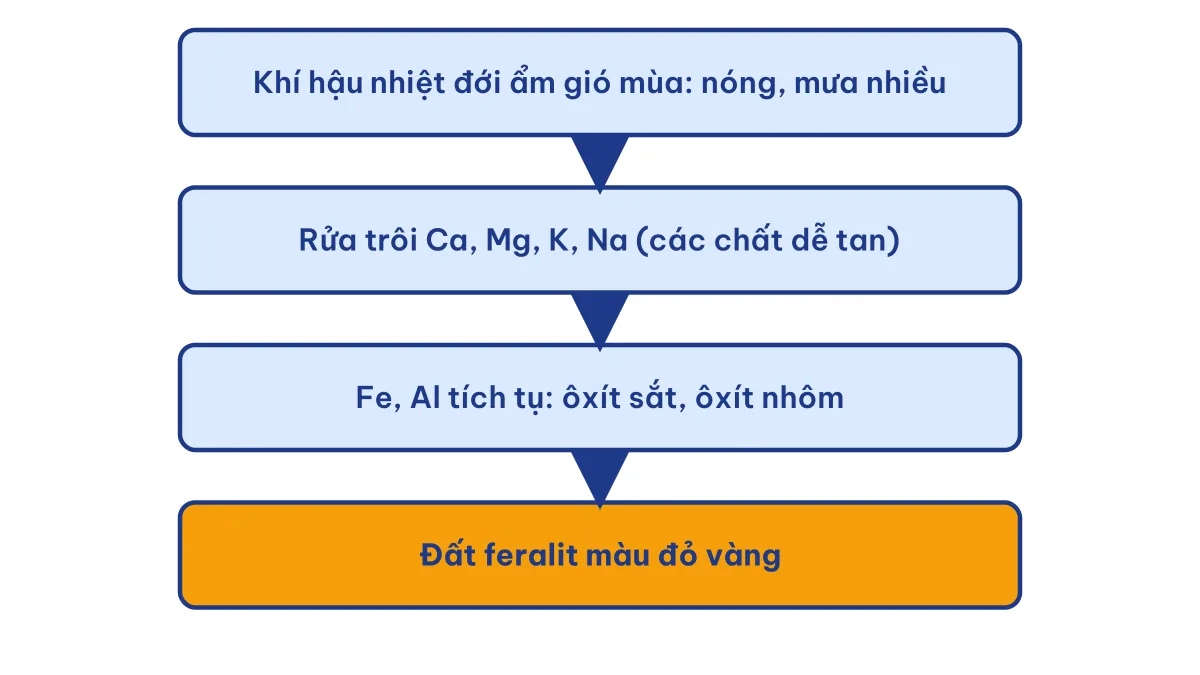 Sơ đồ quá trình feralit làm đất feralit ở nước ta có màu đỏ vàng do tích tụ ôxít sắt và ôxít nhôm
