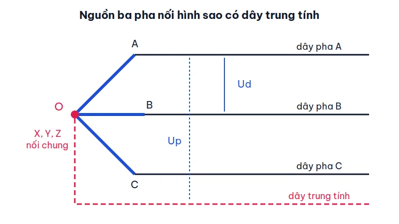 Sơ đồ ba cuộn dây pha có điểm cuối nối chung tại điểm trung tính O, ba dây pha A, B, C đi ra từ các điểm đầu và một dây trung tính nét đứt đi ra từ O