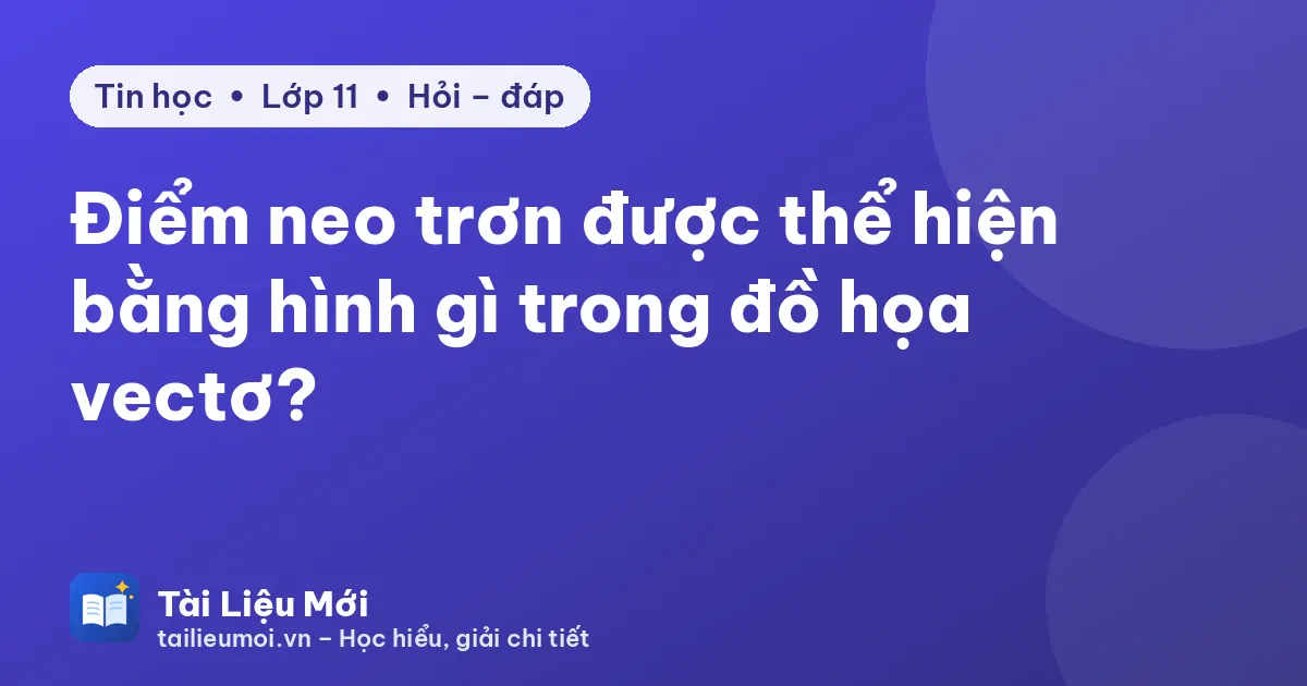 Điểm neo trơn được thể hiện bằng hình gì trong đồ họa vectơ?
