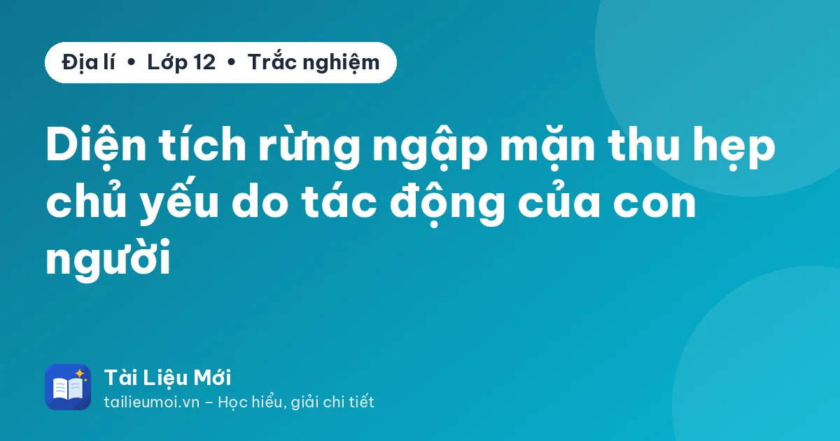 Diện tích rừng ngập mặn thu hẹp chủ yếu do tác động của con người