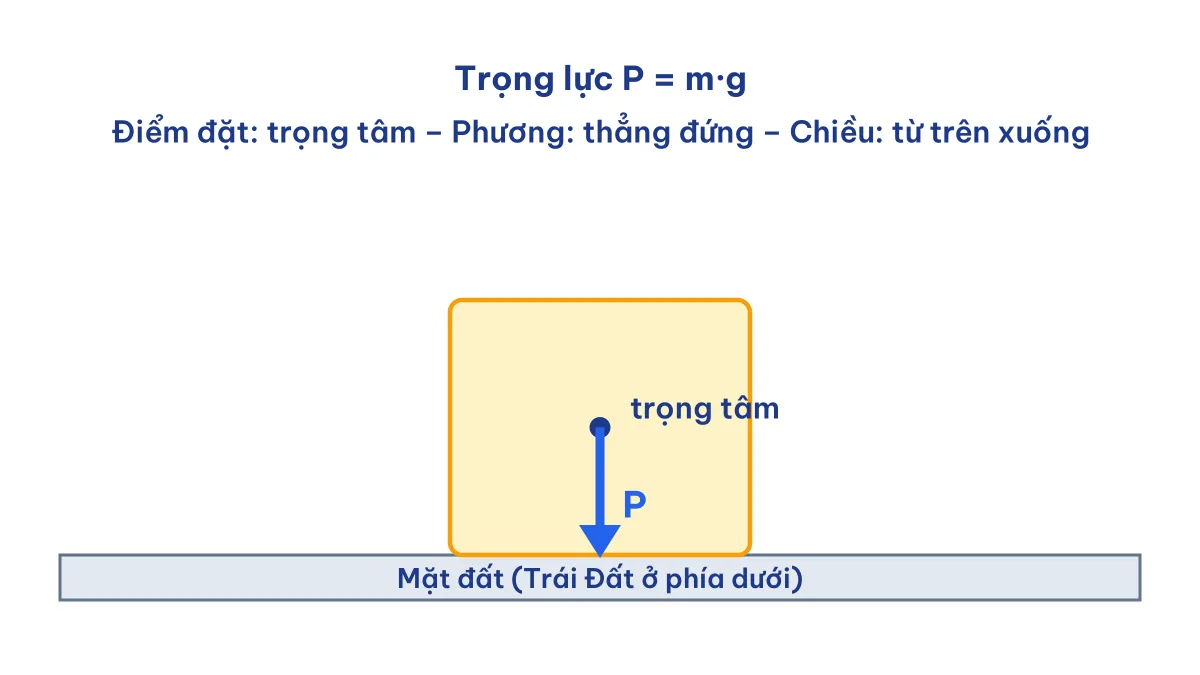 Hình vẽ véc-tơ trọng lực P đặt tại trọng tâm của vật, phương thẳng đứng, chiều hướng xuống