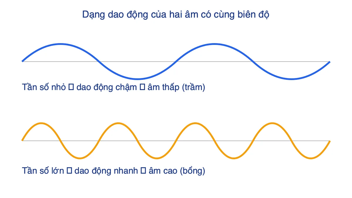 Hai đồ thị dao động cùng biên độ: sóng thưa ứng với âm trầm, sóng dày ứng với âm bổng