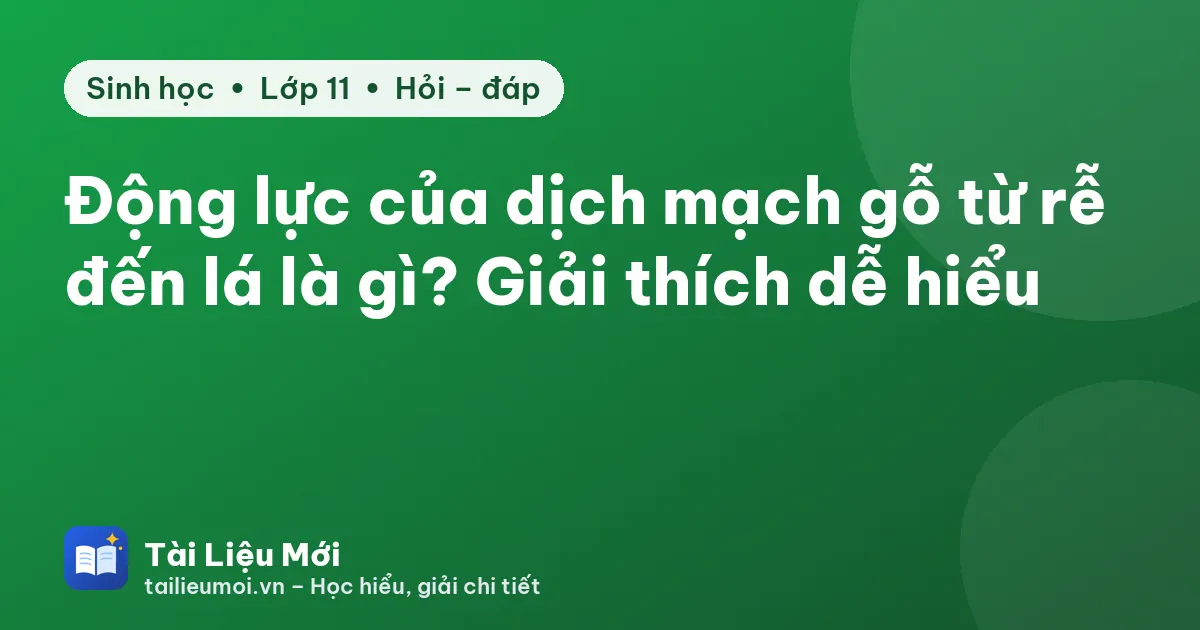 Động lực của dịch mạch gỗ từ rễ đến lá là gì? Giải thích dễ hiểu