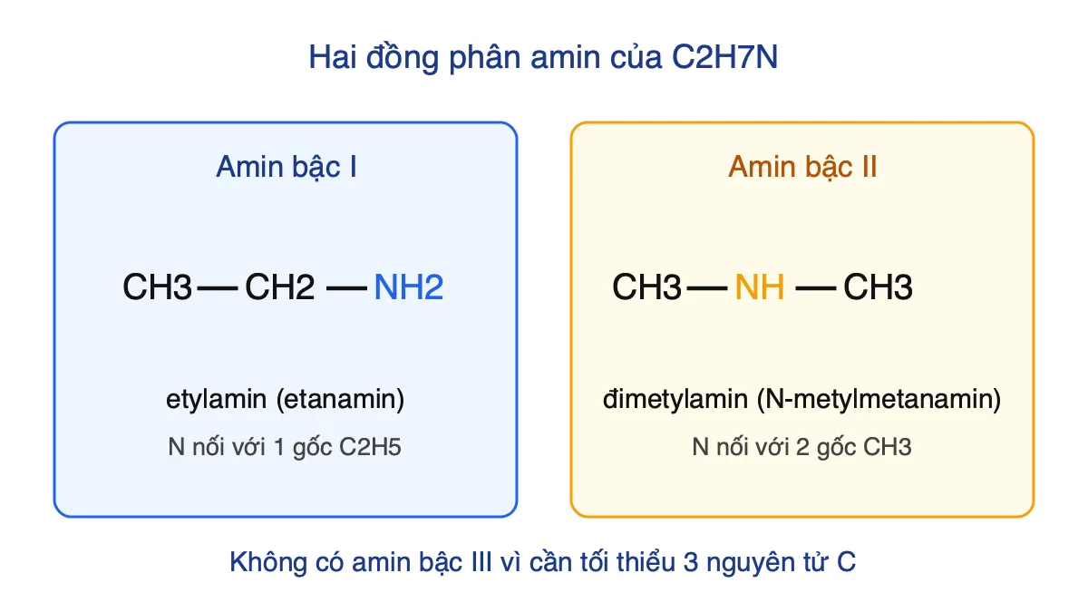 Công thức cấu tạo etylamin và đimetylamin, hai đồng phân amin của C2H7N