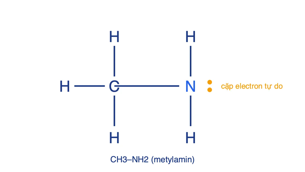 Công thức cấu tạo đầy đủ của CH5N: CH3–NH2 với cặp electron tự do trên nguyên tử nitơ