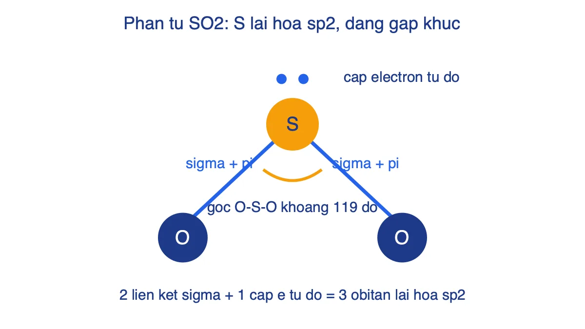 Sơ đồ phân tử SO2 gấp khúc với nguyên tử S lai hóa sp2 và một cặp electron tự do