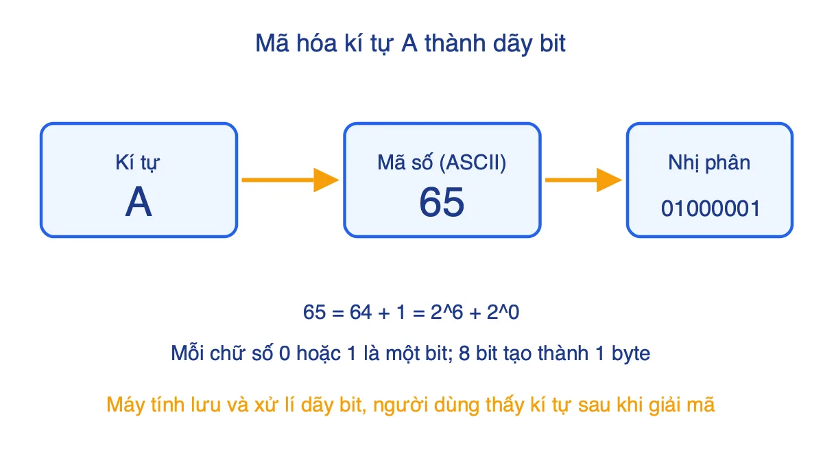 Sơ đồ mã hóa kí tự A thành mã 65 rồi thành dãy bit 01000001
