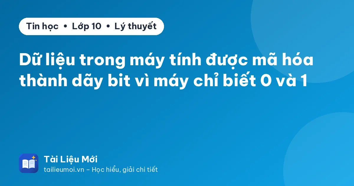 Dữ liệu trong máy tính được mã hóa thành dãy bit vì máy chỉ biết 0 và 1
