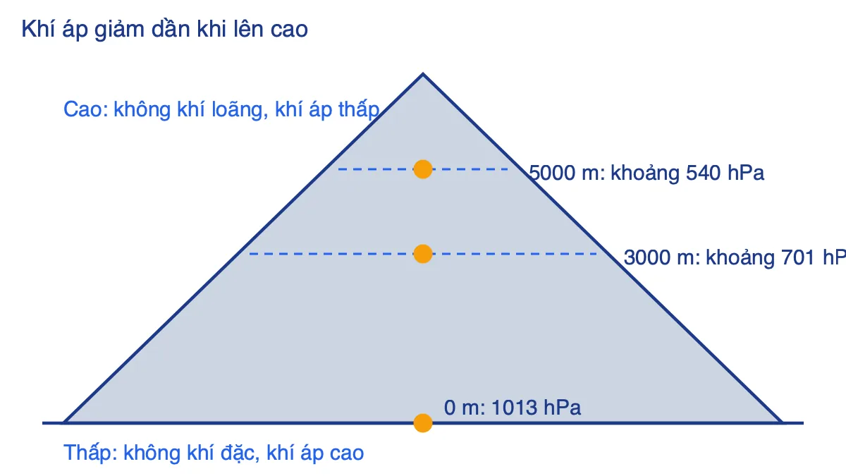 Sơ đồ sườn núi với ba mức độ cao 0 m, 3000 m và 5000 m cùng giá trị khí áp giảm dần