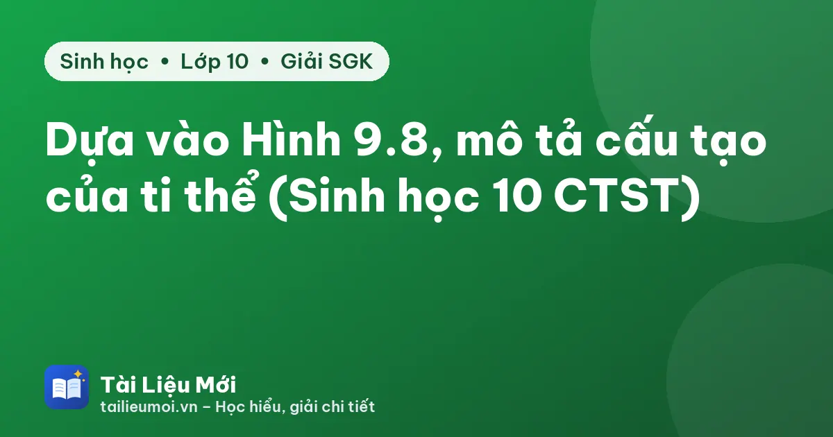 Dựa vào Hình 9.8, mô tả cấu tạo của ti thể (Sinh học 10 CTST)
