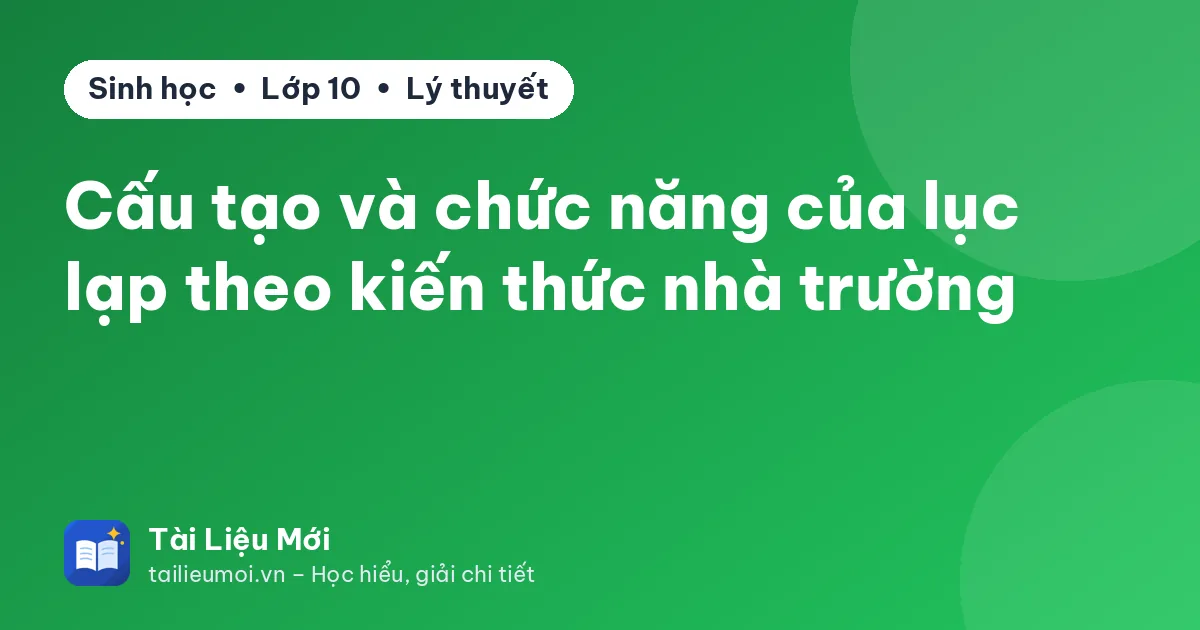 Cấu tạo và chức năng của lục lạp theo kiến thức nhà trường