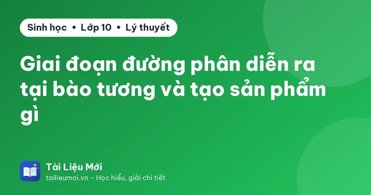 Giai đoạn đường phân diễn ra tại bào tương và tạo sản phẩm gì