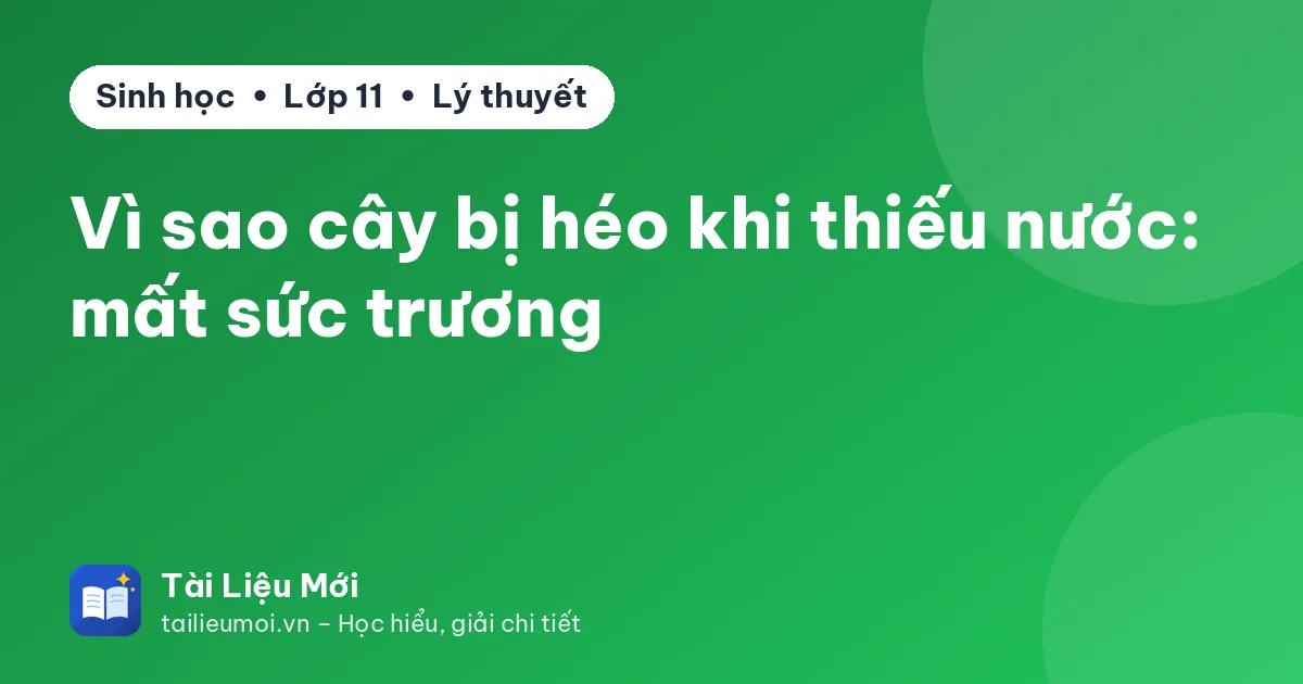 Vì sao cây bị héo khi thiếu nước: mất sức trương