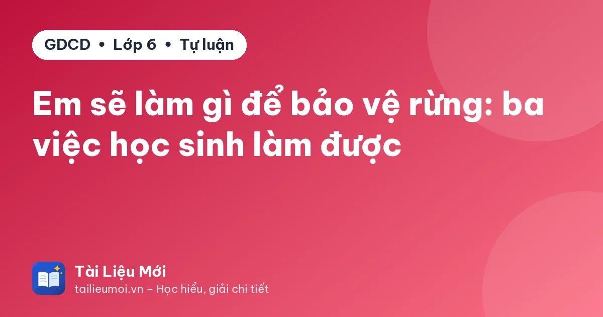 Em sẽ làm gì để bảo vệ rừng: ba việc học sinh làm được
