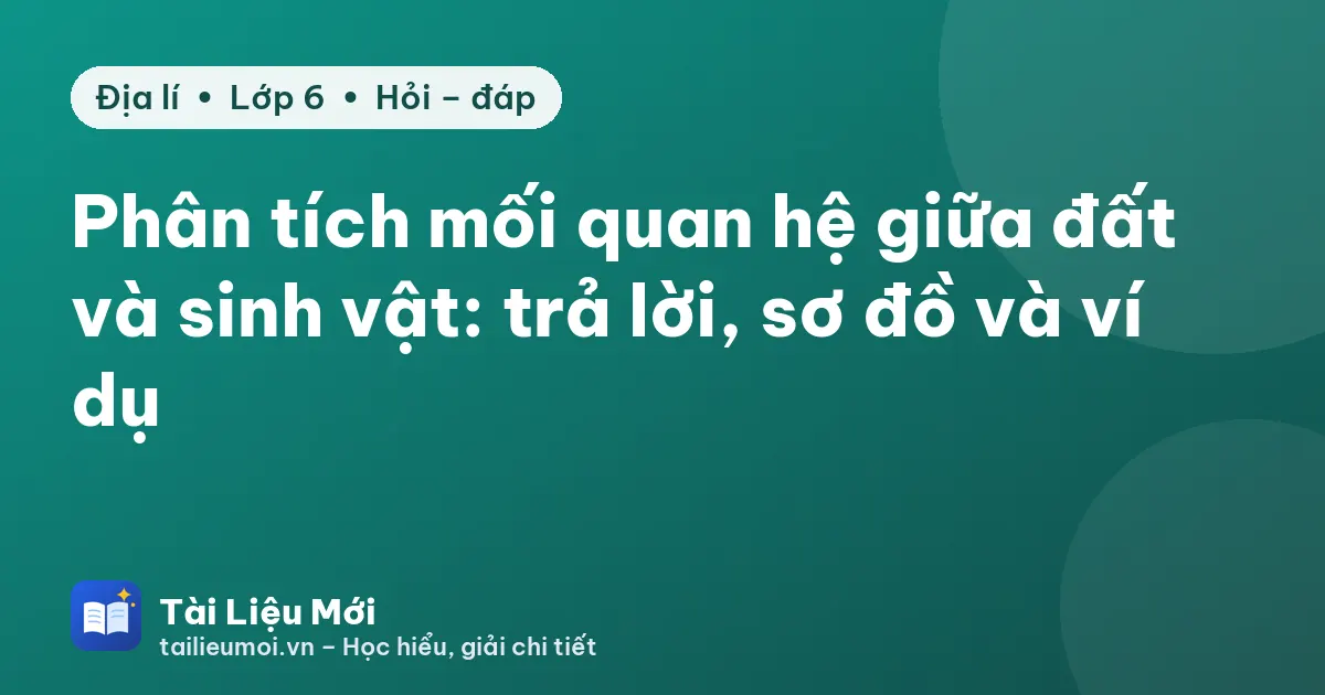 Phân tích mối quan hệ giữa đất và sinh vật: trả lời, sơ đồ và ví dụ