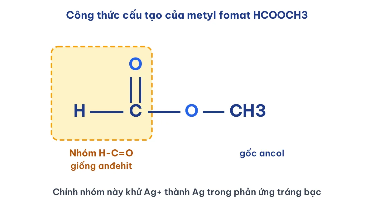 Công thức cấu tạo HCOOCH3 chỉ nhóm H-C=O gây phản ứng tráng bạc của este