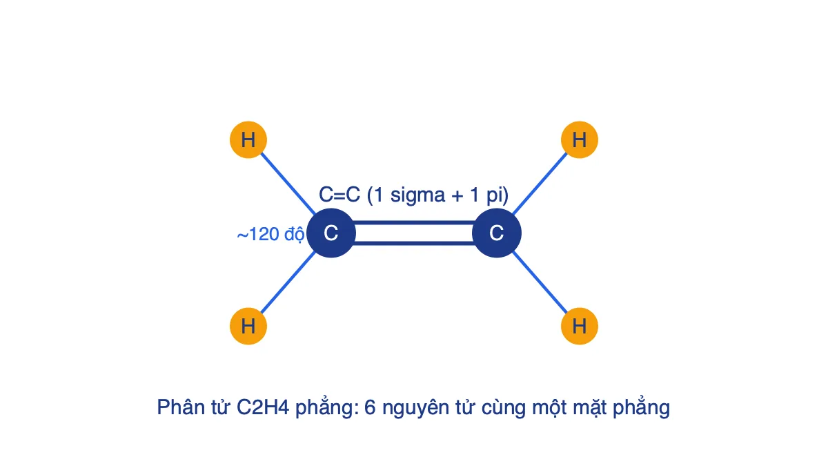 Mô hình phân tử ethene CH2=CH2 phẳng với góc liên kết khoảng 120 độ