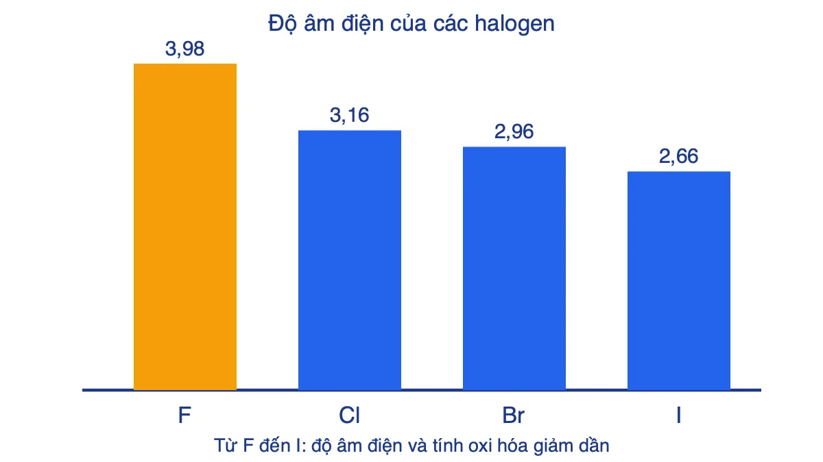 Biểu đồ cột độ âm điện của F, Cl, Br, I giảm dần từ flo đến iot