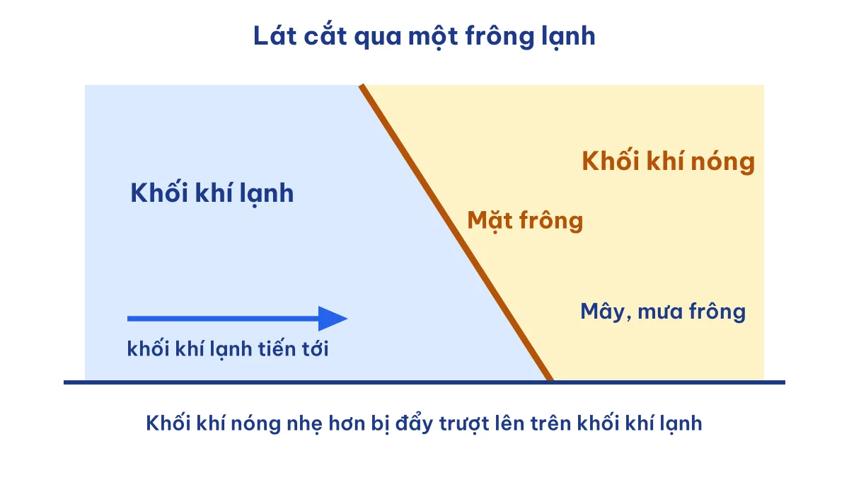 Lát cắt frông lạnh: mặt ngăn cách giữa khối khí lạnh và khối khí nóng, khí nóng bị đẩy lên