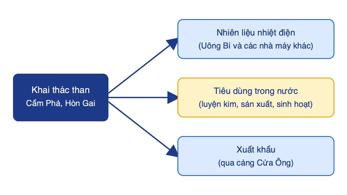 Sơ đồ mối quan hệ giữa sản xuất và tiêu thụ than Quảng Ninh